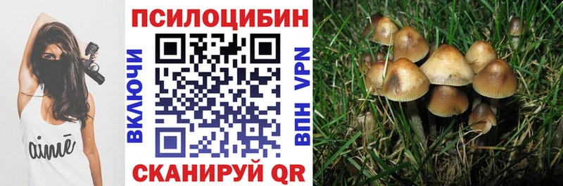 Псилоцибиновые грибы Psilocybe  Мышкин 